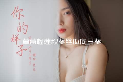 草莓榴莲秋葵丝瓜向日葵